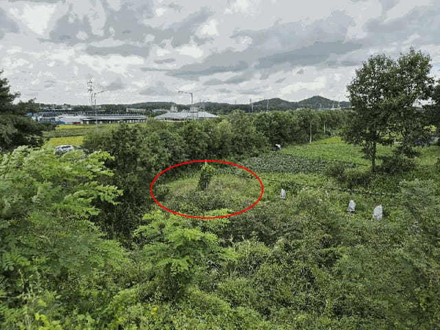 B000253202501300425224.jpg