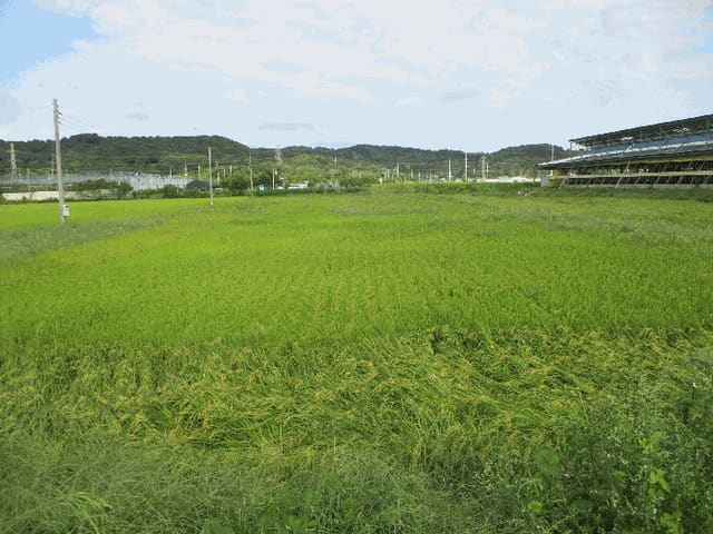 B000253202501300425234.jpg