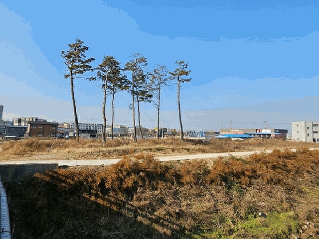B000253202501300429574.jpg
