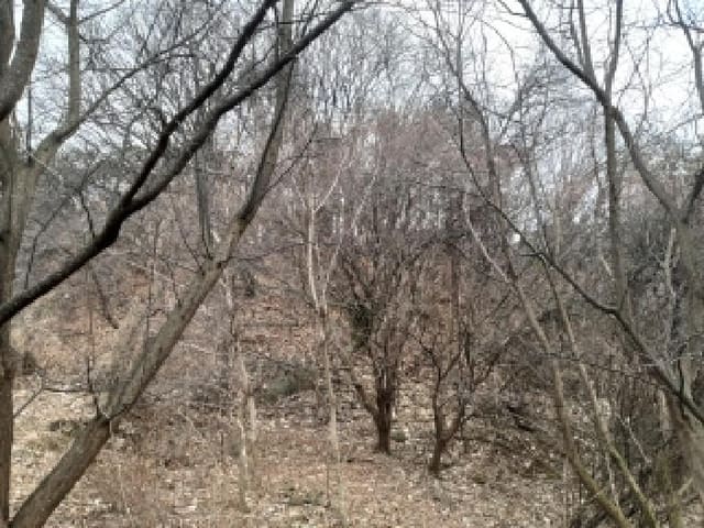 B000253202501300431751.jpg