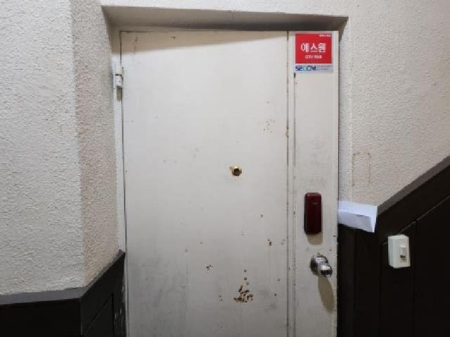 B000253202501300432943.jpg