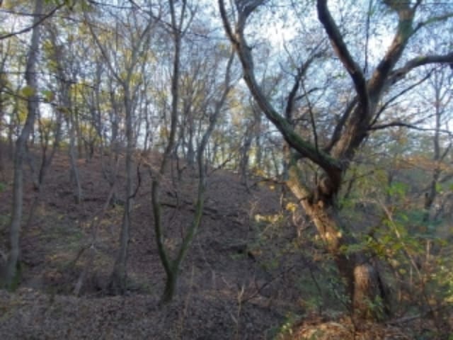 B000254202301301068023.jpg