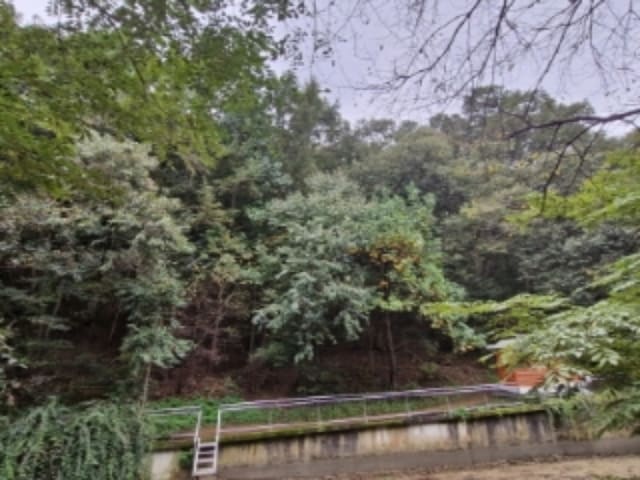 B000254202401301085391.jpg