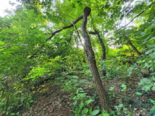 B000254202501300012774.jpg