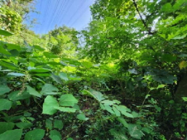 B000254202501300012773.jpg