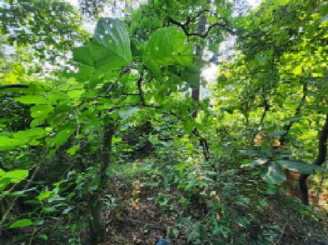 B000254202501300012771.jpg