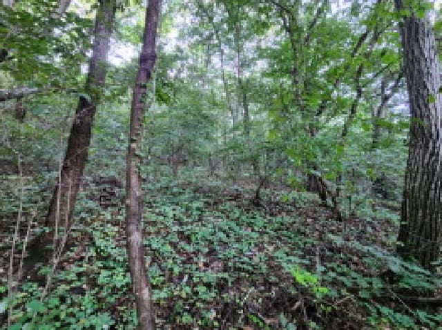 B000254202501301013361.jpg