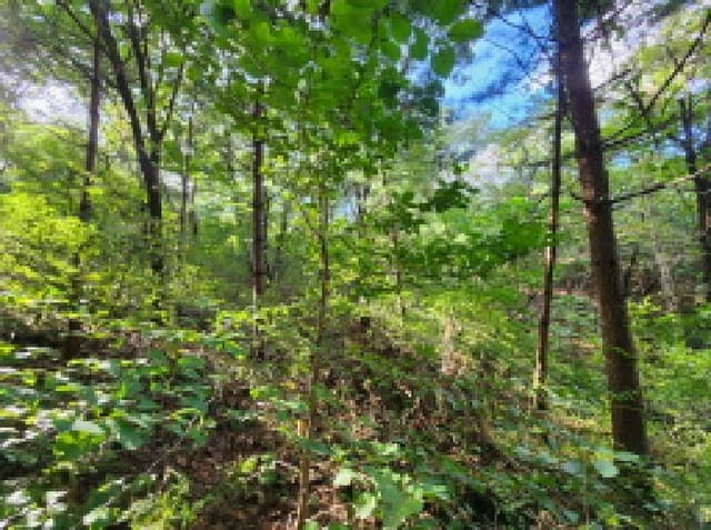 B000254202501301013367.jpg