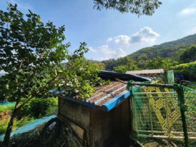 B000254202501301013452.jpg