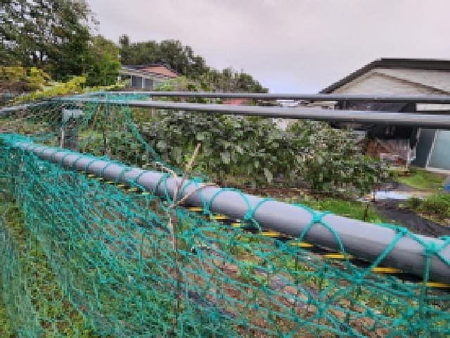 B000254202501301014483.jpg