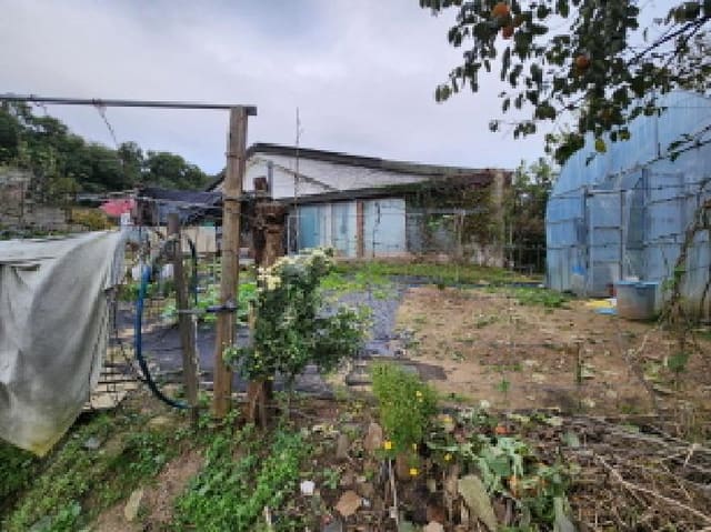 B000254202501301014482.jpg