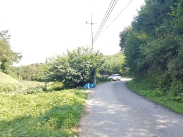 B000260202401300023912.jpg