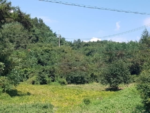 B000260202401300023913.jpg
