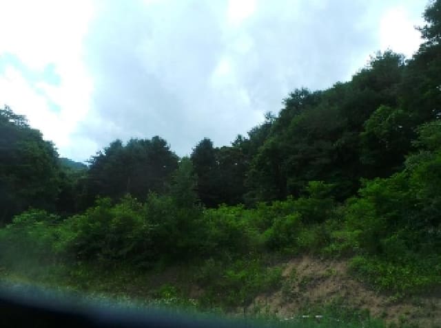 B0002602025013000089714.jpg