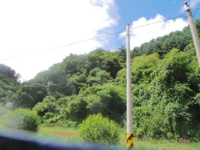 B000260202501300012962.jpg
