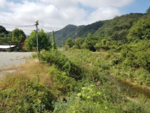 B000260202501300017392.jpg