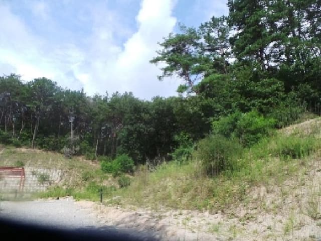 B000260202501300017602.jpg