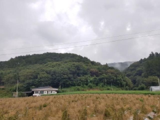 B000260202501300018901.jpg