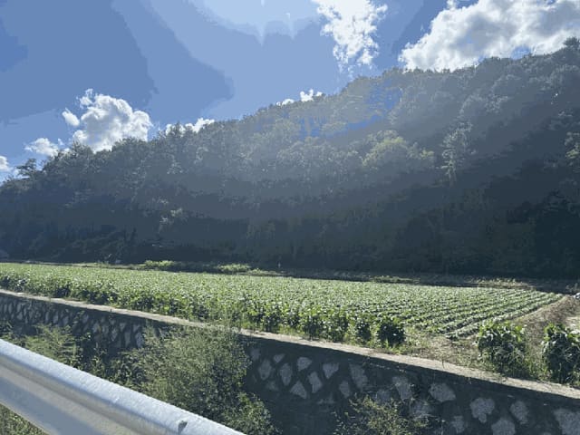 B000260202501300019134.jpg