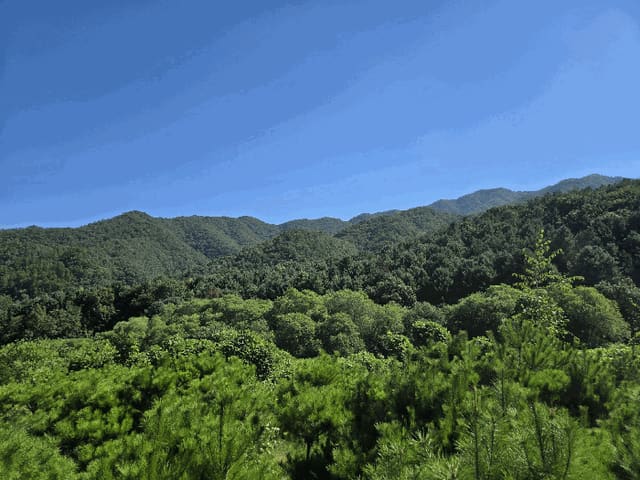 B000260202501300021383.jpg