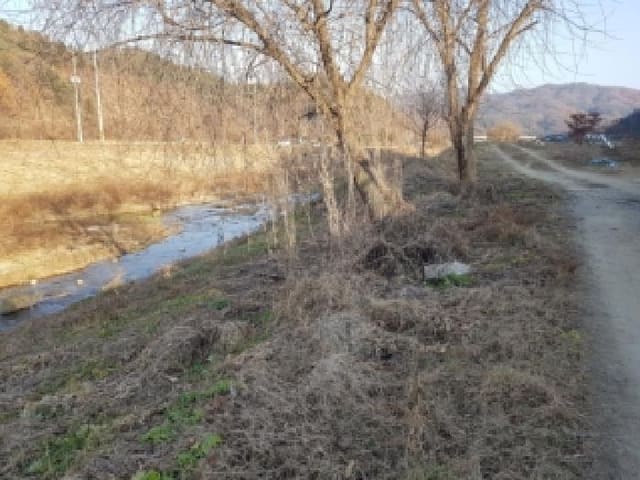 B000260202501300022202.jpg