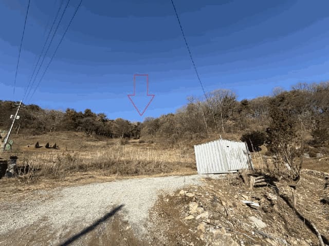B000260202501300024733.jpg