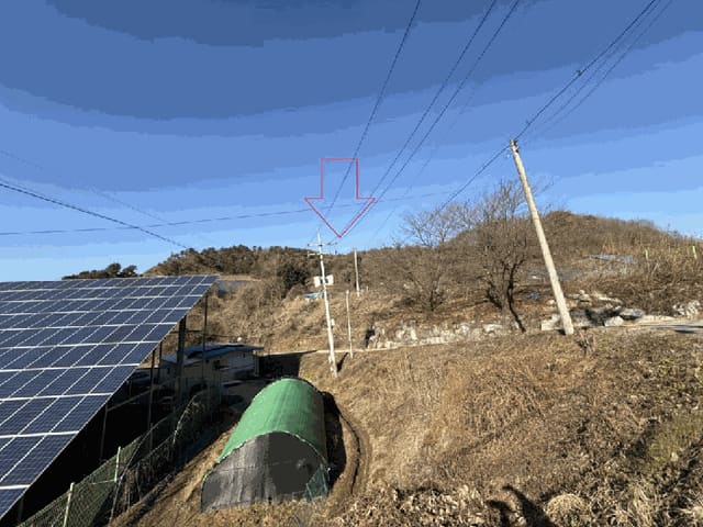 B000260202501300024734.jpg