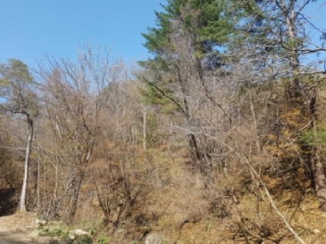 B000260202501300024803.jpg