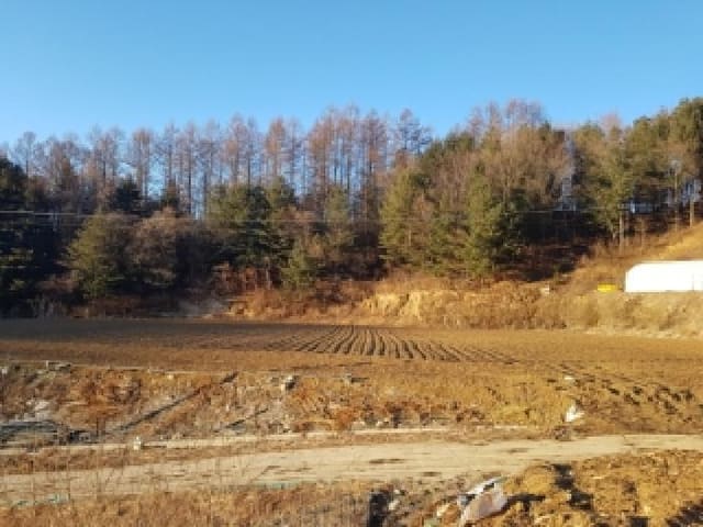 B000260202501300026021.jpg