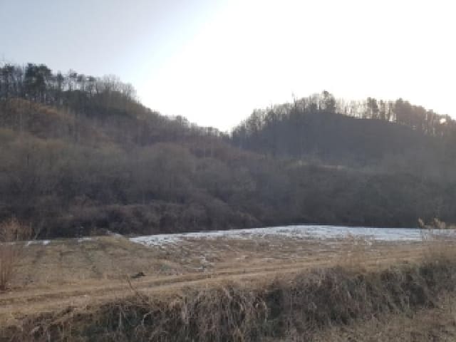 B000260202501300026191.jpg