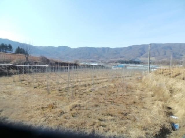 B000260202501300026712.jpg