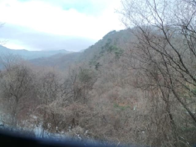 B000260202501300027011.jpg