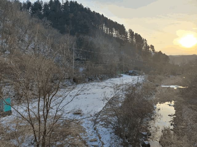 B000260202501300028622.jpg
