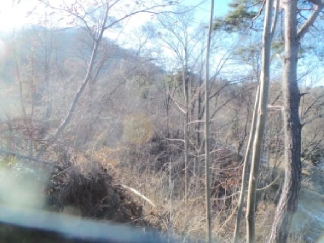 B000260202501300029164.jpg