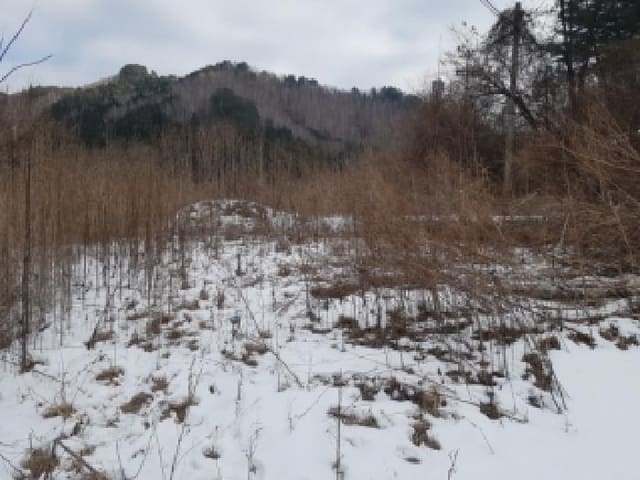 B000260202501300029233.jpg
