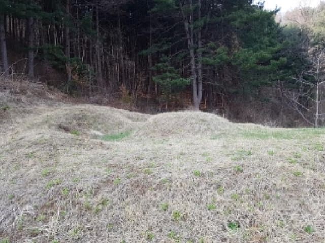 B000260202501300505231.jpg