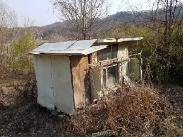 B000260202501300505232.jpg