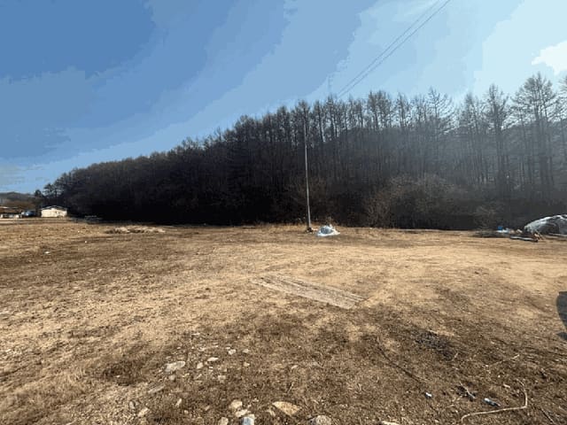 B000260202501300505624.jpg