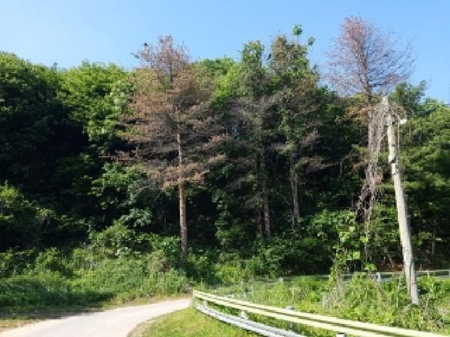 B000260202501300506042.jpg