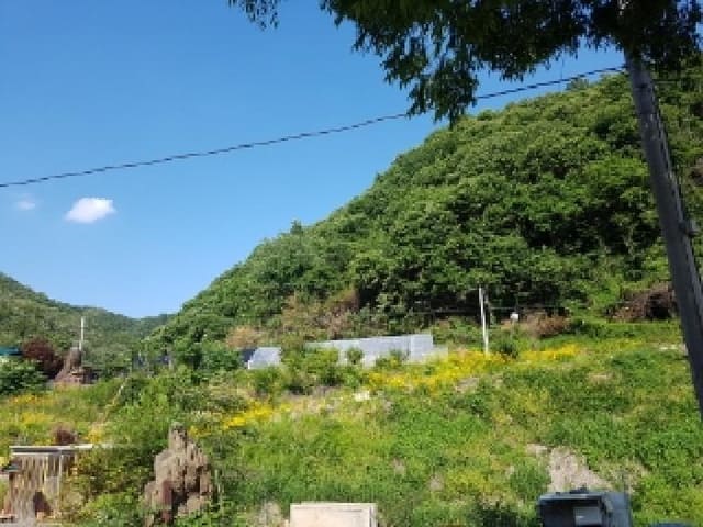 B000260202501300506044.jpg