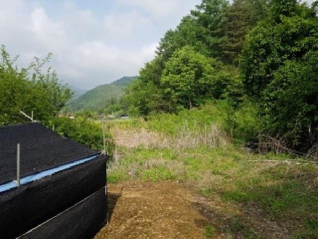 B000260202501300506591.jpg