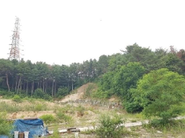 B000260202501300507153.jpg