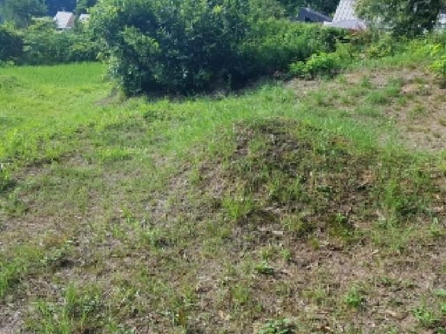 B000260202501300507174.jpg