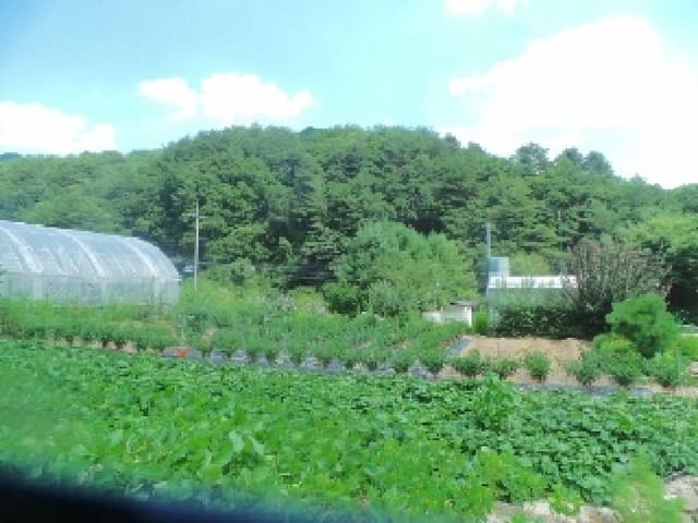 B000260202501300507471.jpg