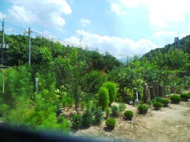 B000260202501300507473.jpg