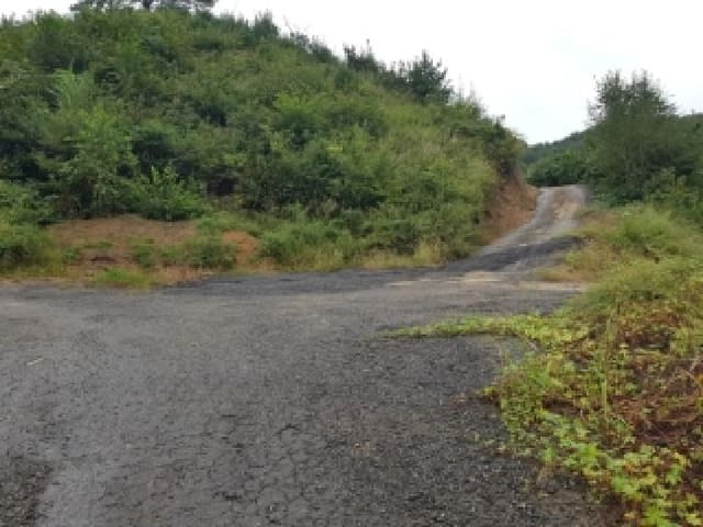 B000260202501300507832.jpg
