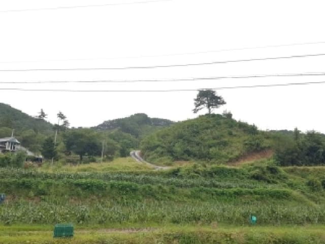 B000260202501300507831.jpg