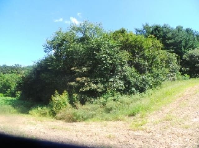 B000260202501300508494.jpg