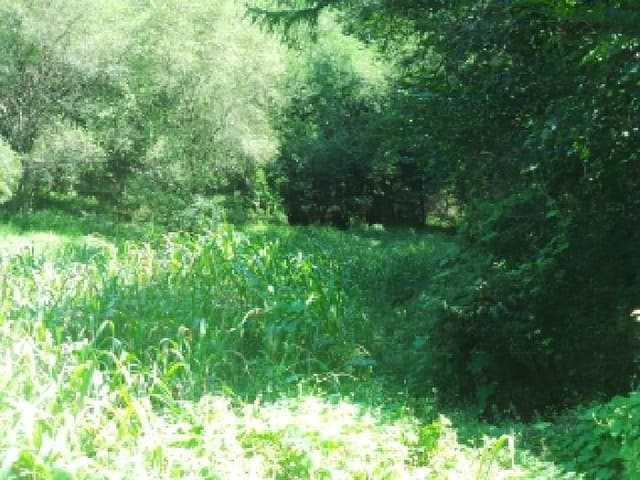 B000260202501300508493.jpg