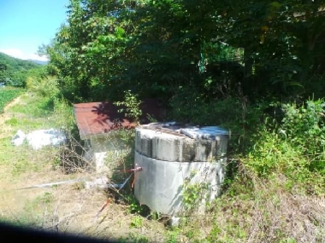 B000260202501300508491.jpg